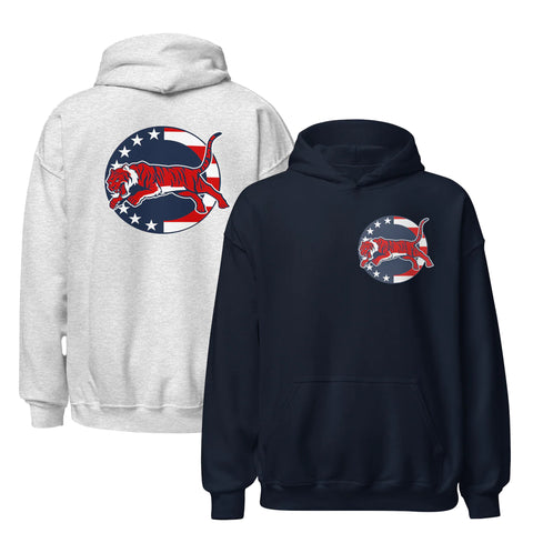 STARS N STRIPES HOODIE