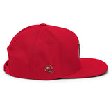 MOON VINTAGE TIGER SNAPBACK