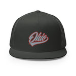 SCRIPT OHIO SNAPBACK