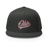SCRIPT OHIO SNAPBACK