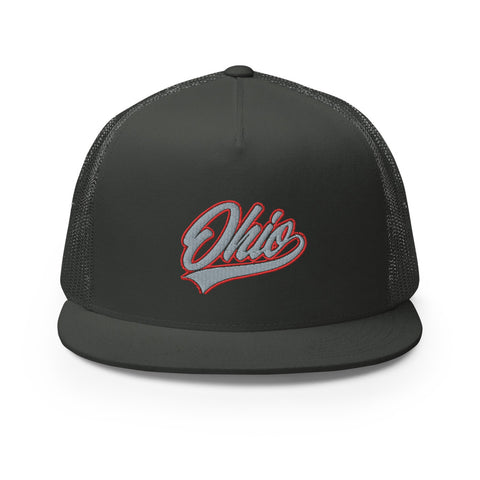 SCRIPT OHIO SNAPBACK