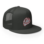 SCRIPT OHIO SNAPBACK