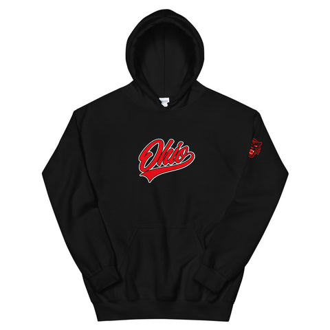 SCRIPT OHIO HOODIE